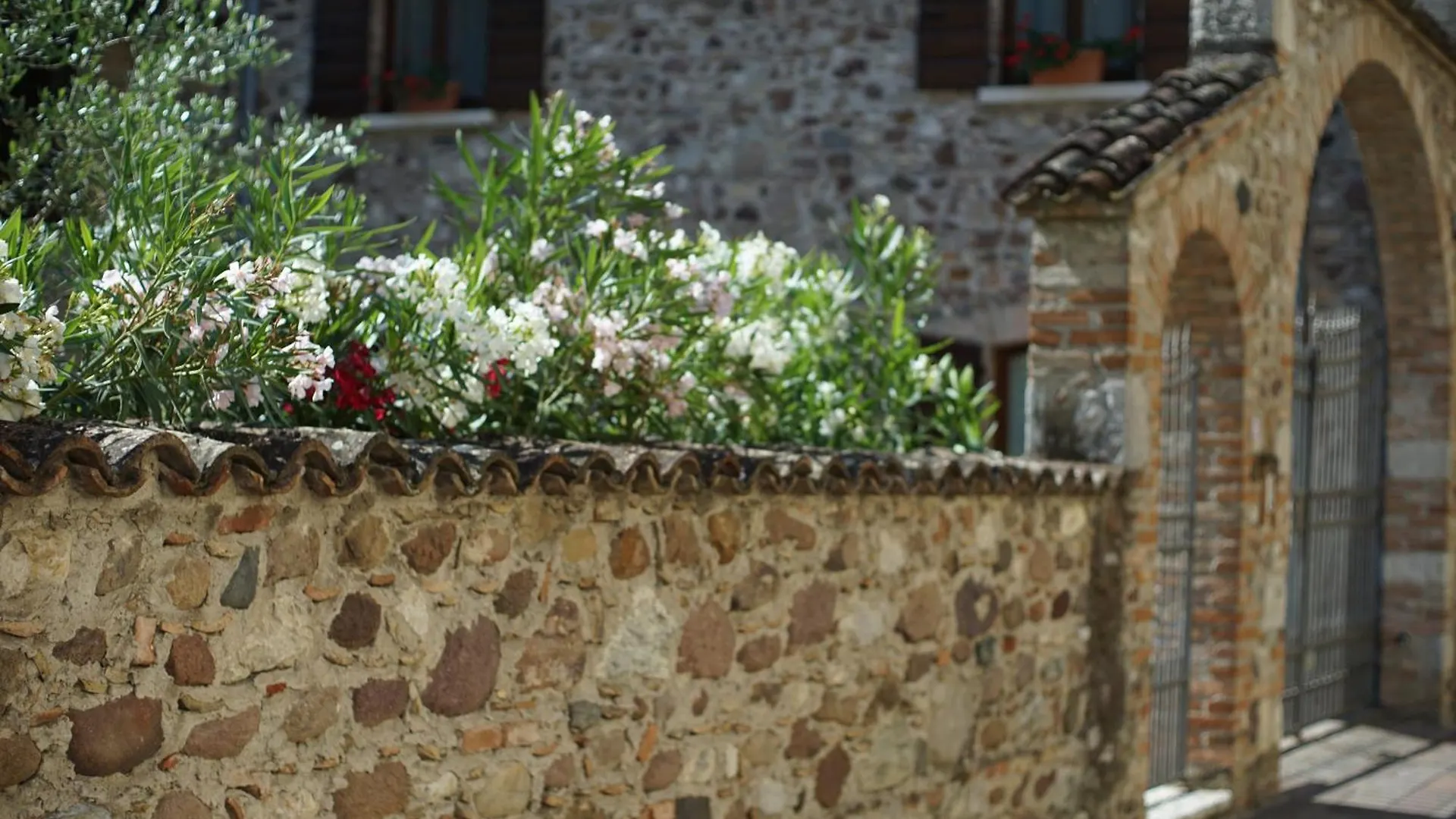Farma Ca Nova Agriturismo Castellaro